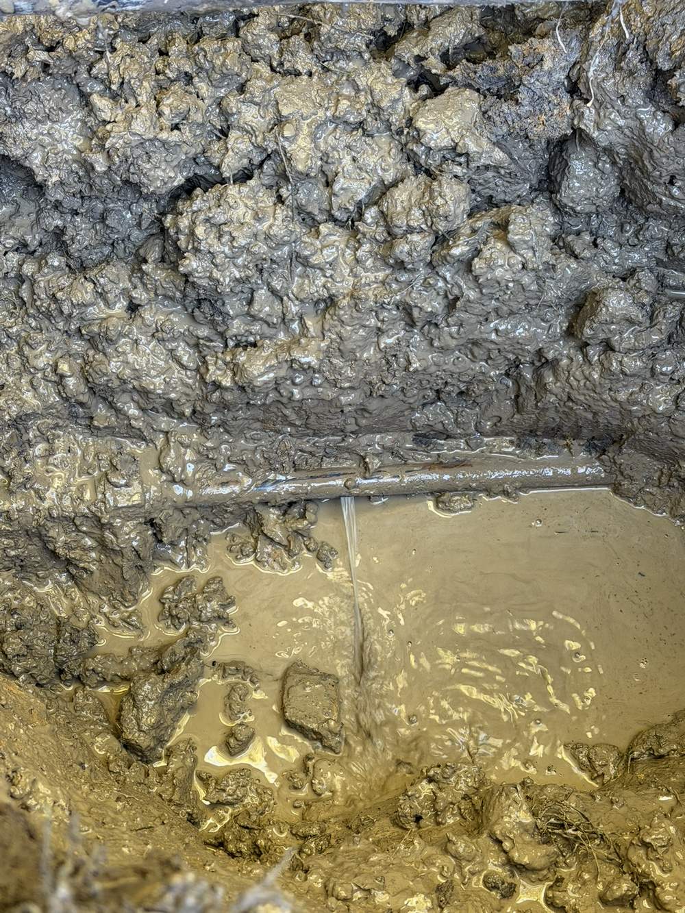 Water escaping from an exposed underground 25mm blue-line poly pipe in Beaconsfield